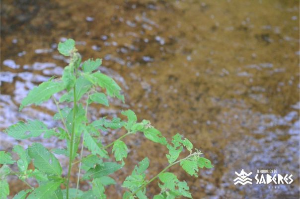 São Roque do Paraguaçu