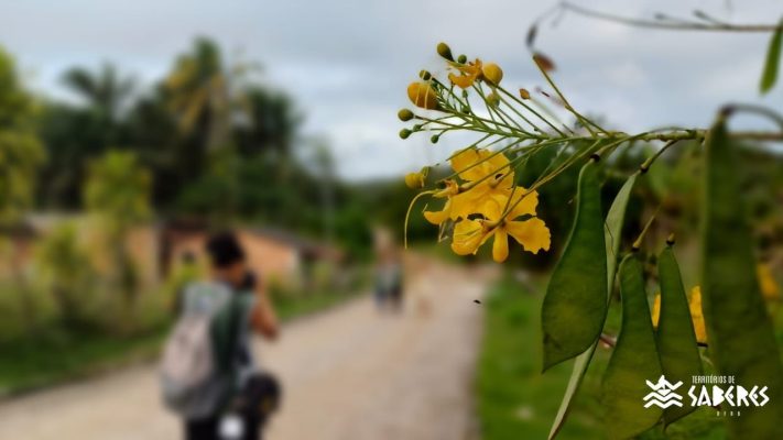 São Roque do Paraguaçu