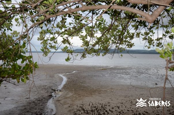 Santo Antônio da Aldeia