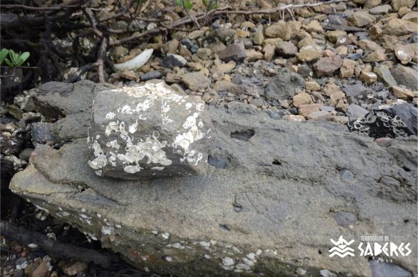 Santo Antônio da Aldeia