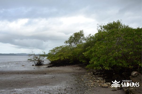 Santo Antônio da Aldeia