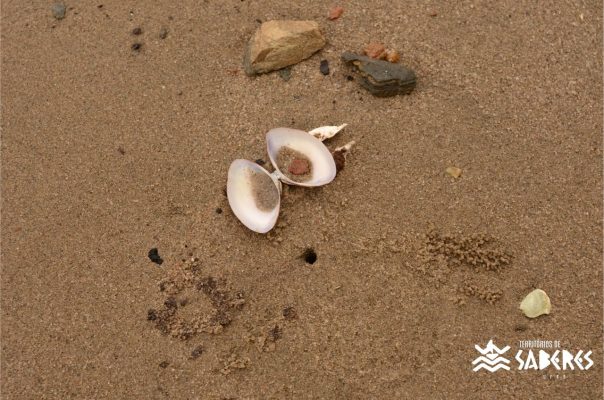 Santo Antônio da Aldeia