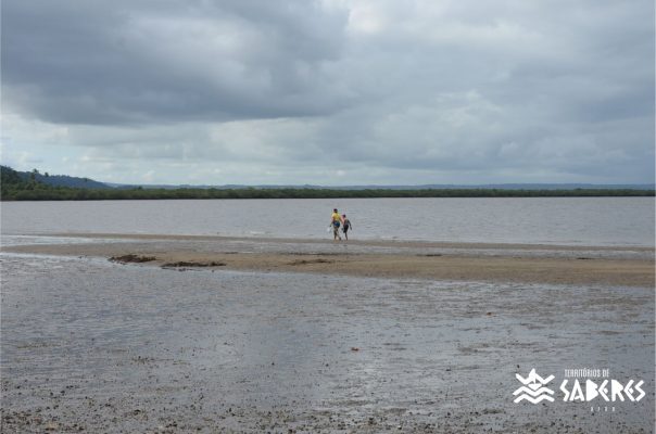 Santo Antônio da Aldeia
