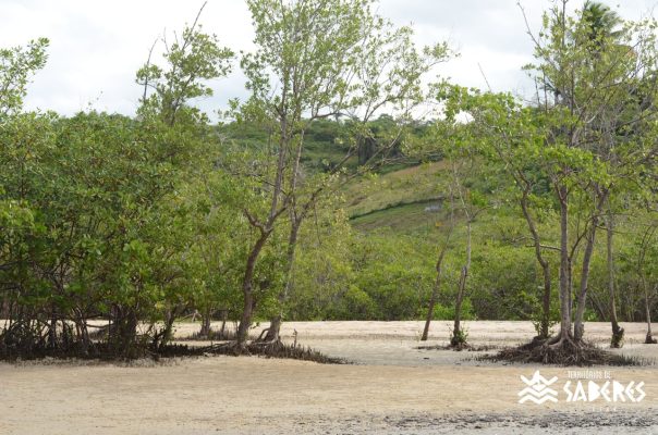 Santo Antônio da Aldeia