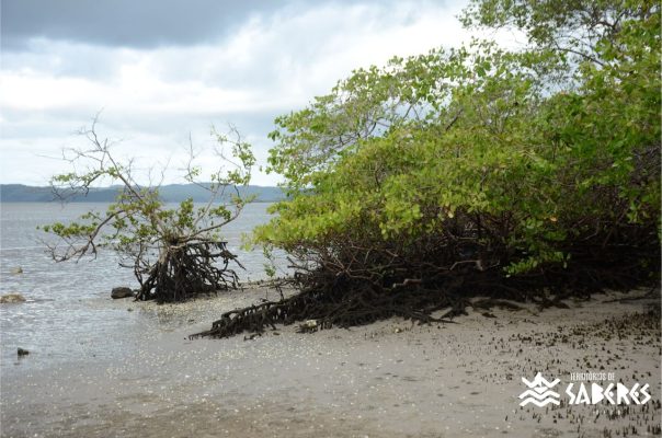 Santo Antônio da Aldeia