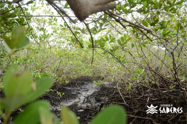 Santo Antônio da Aldeia