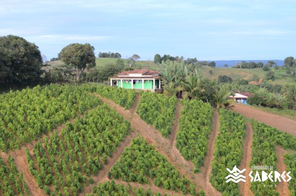 Santo Antônio da Aldeia