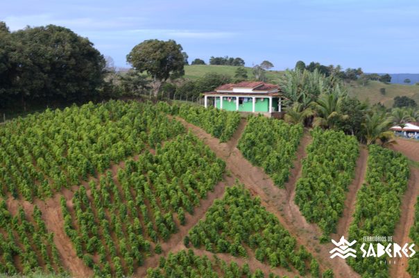 Santo Antônio da Aldeia